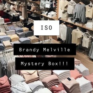 DO NOT BUY brandy melville